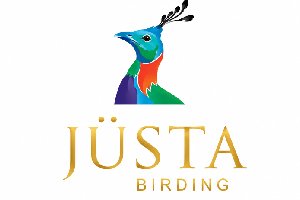 Justa Birding